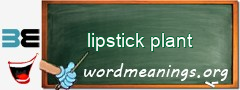 WordMeaning blackboard for lipstick plant